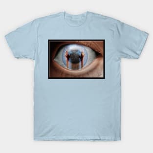 Eye T-Shirt